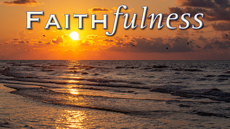 Faithfulness